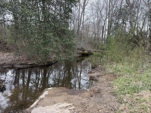 17.74 Ac Co Rd 784, Flat Rock, AL 35966