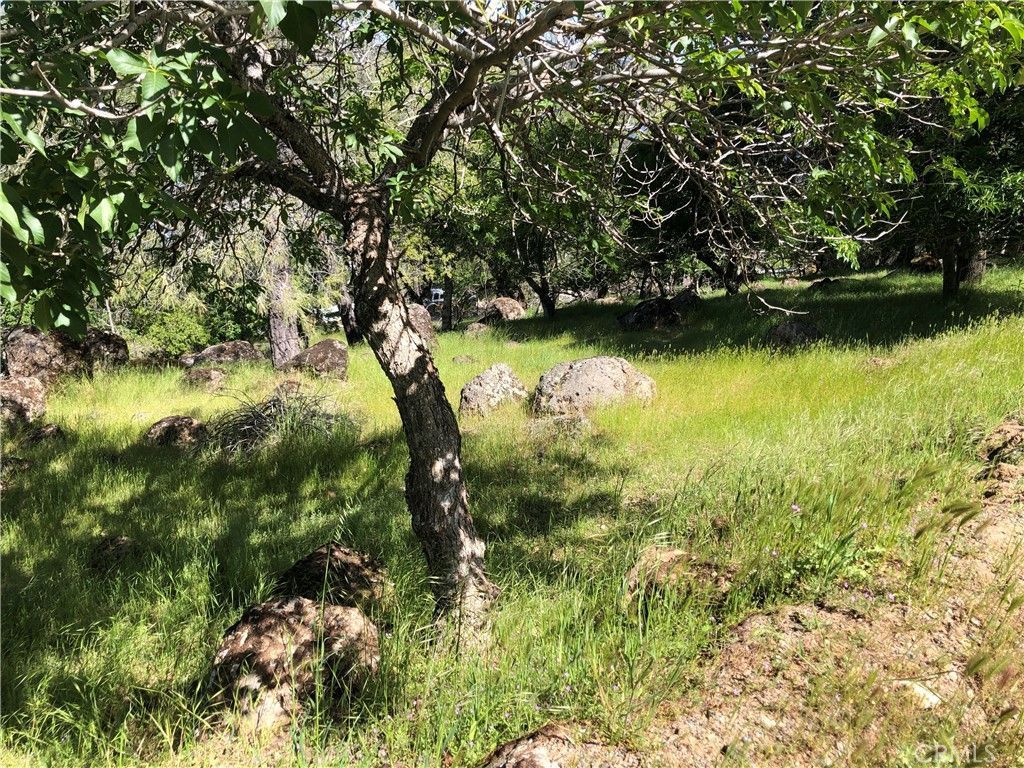 13616 Anderson Road, Lower Lake, CA 95457 Main Photo