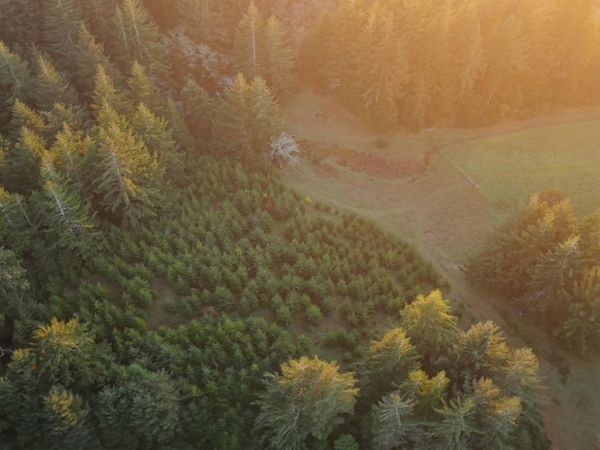 45721 U.S. 101, Langlois, OR 97450