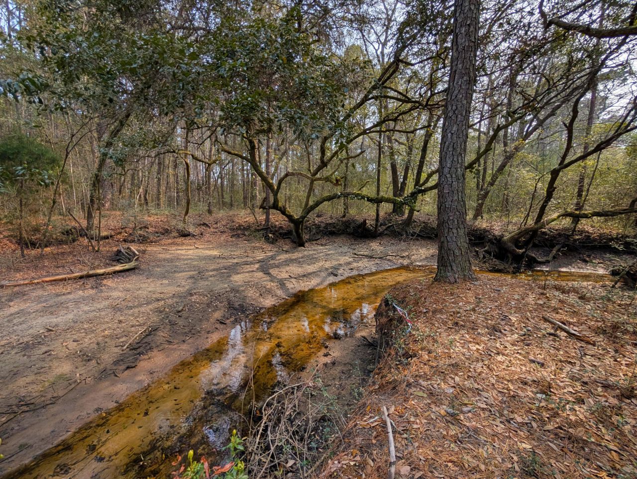 245 Warren Drive Photo 10