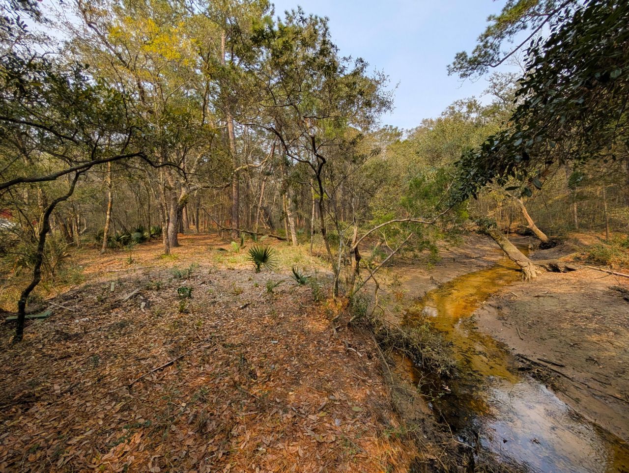 245 Warren Drive Photo 11