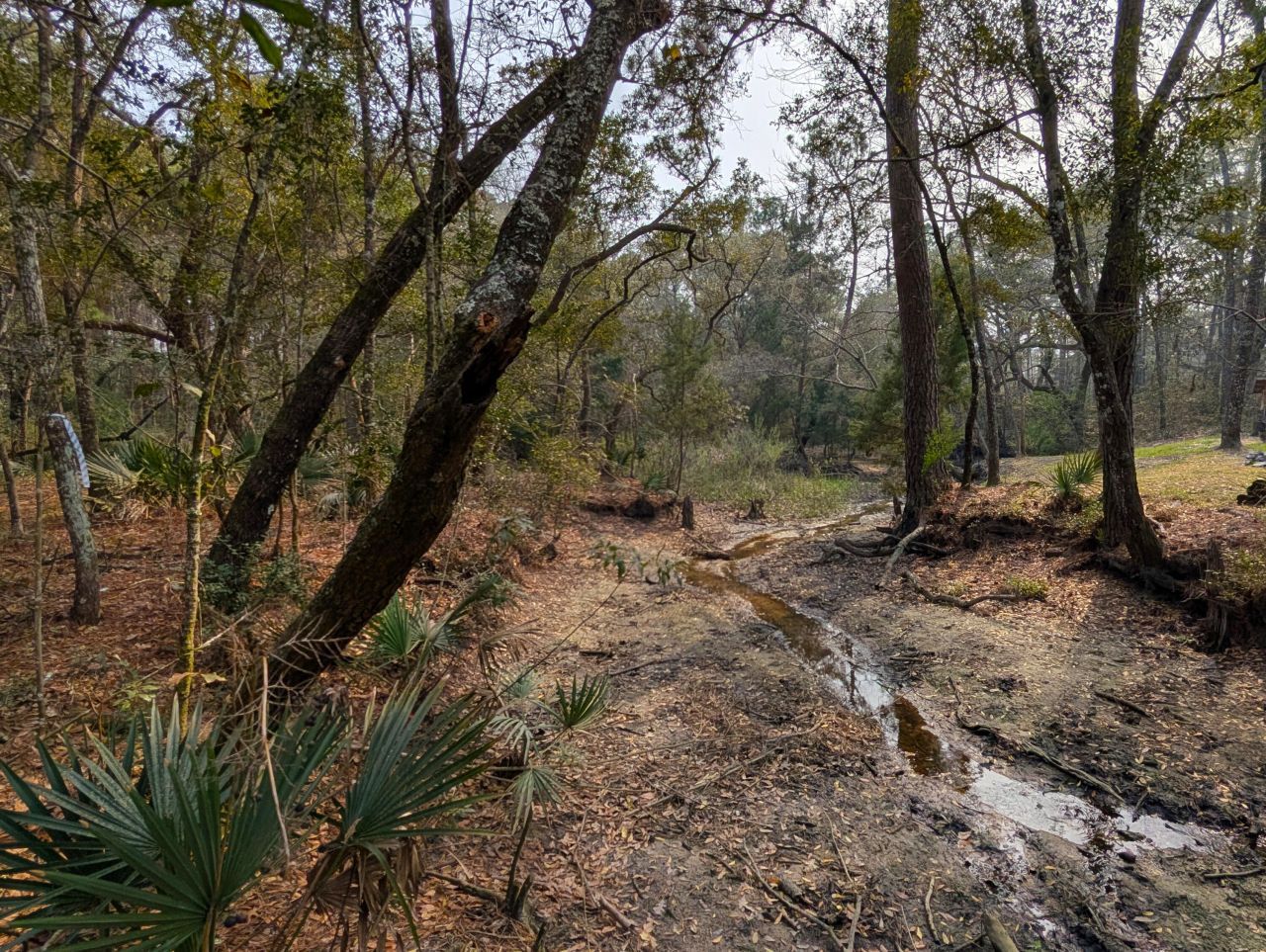 245 Warren Drive Photo 12