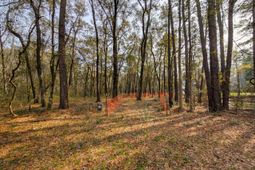 245 Warren Drive photo 4