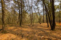 245 Warren Drive photo 4