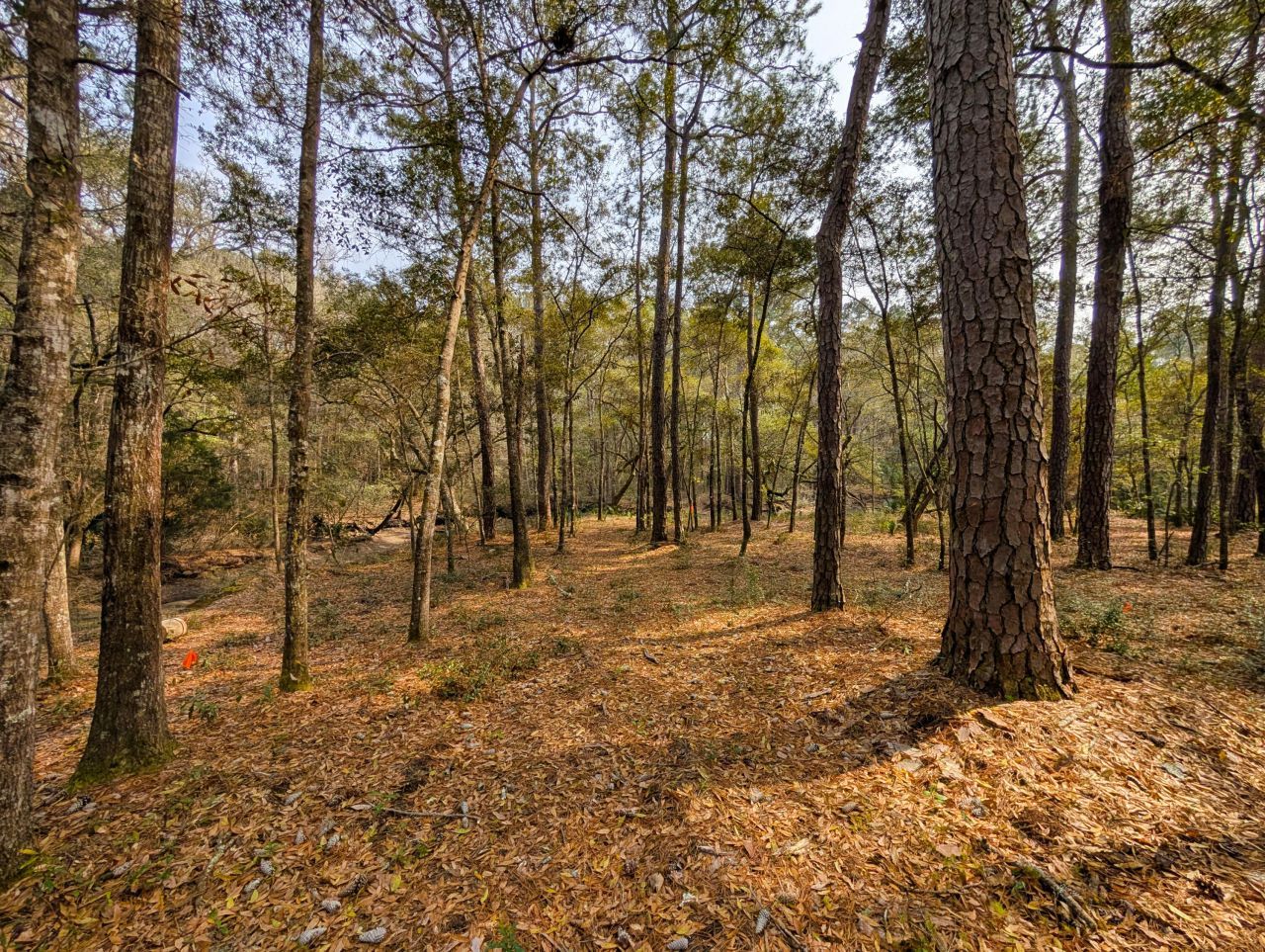 245 Warren Drive Photo 5