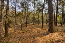 245 Warren Drive photo 4