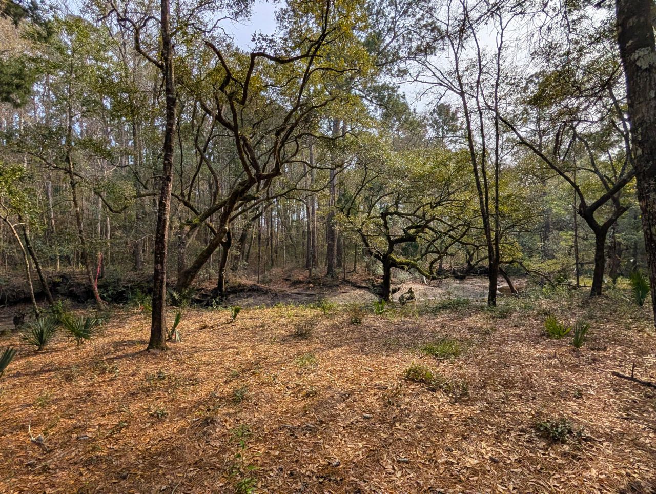 245 Warren Drive Photo 6