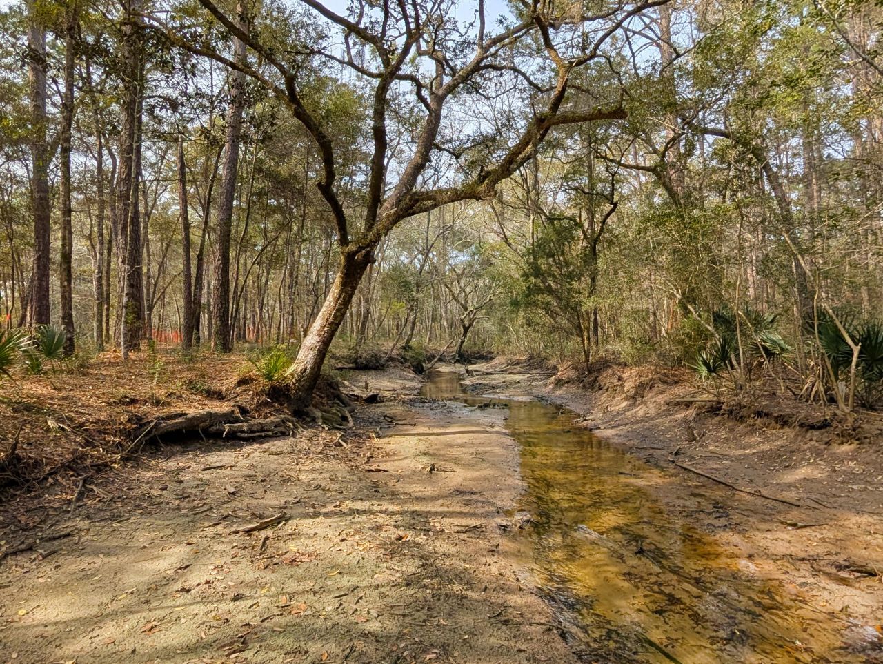 245 Warren Drive Photo 7