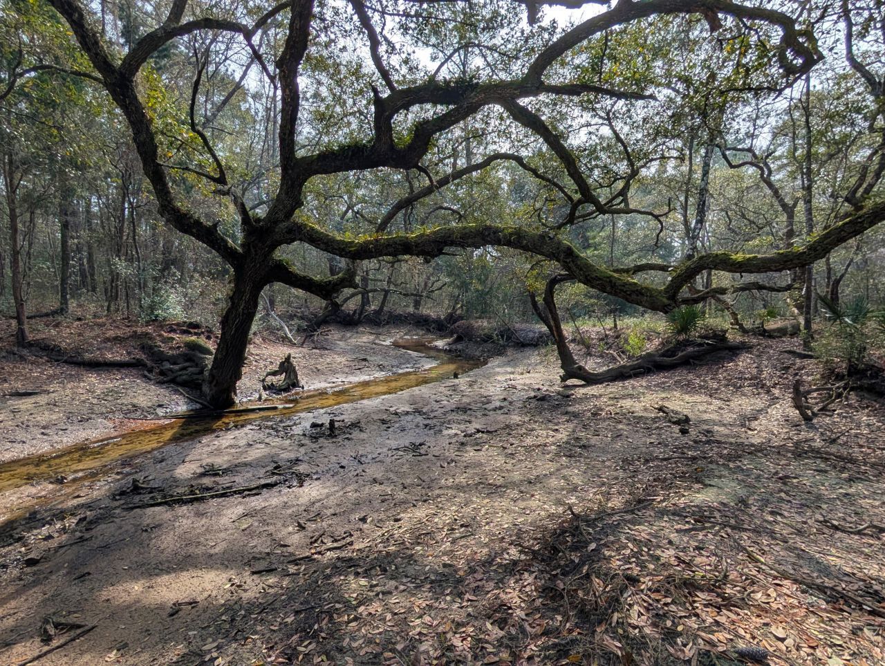 245 Warren Drive Photo 8