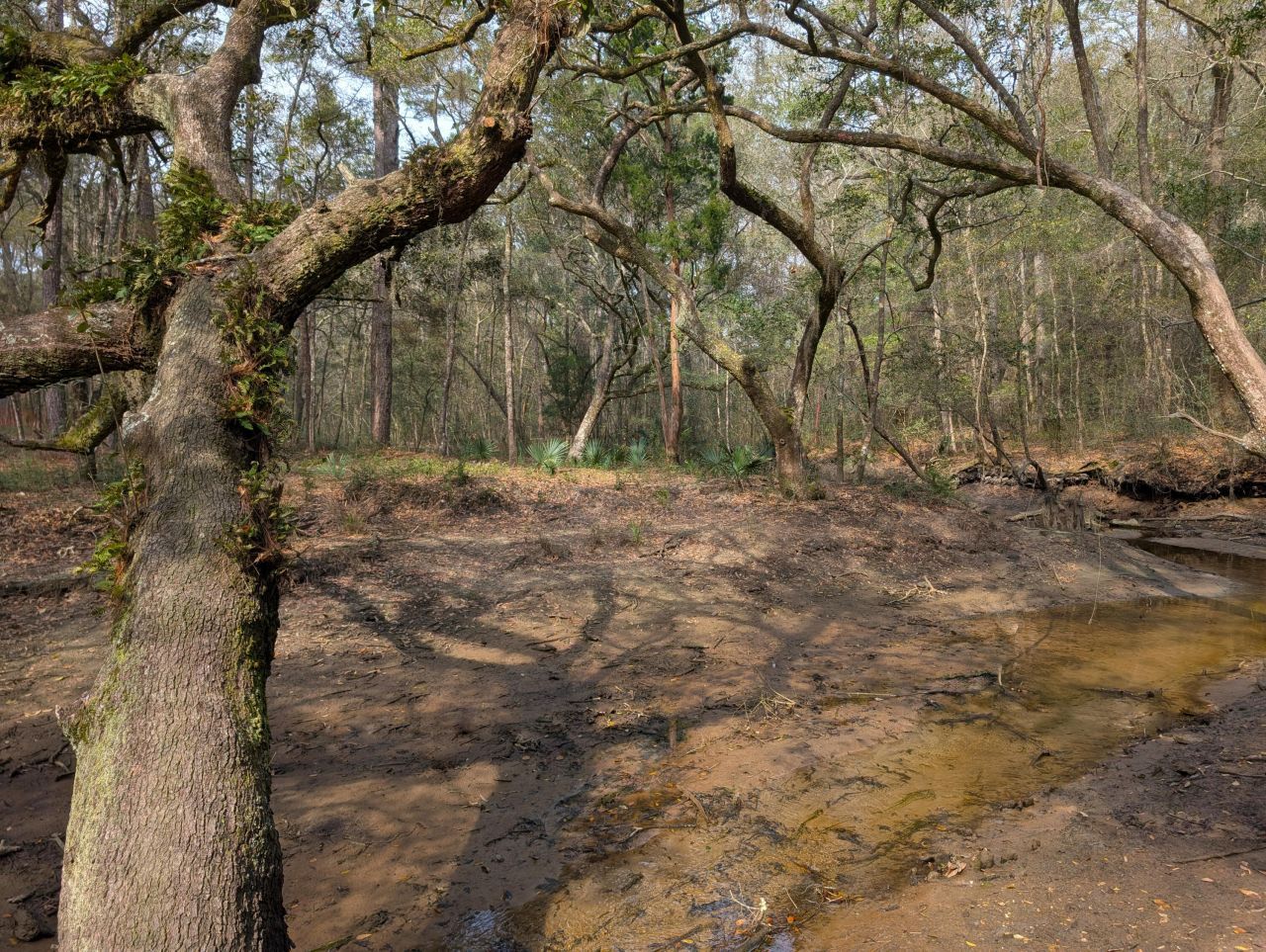 245 Warren Drive Photo 9