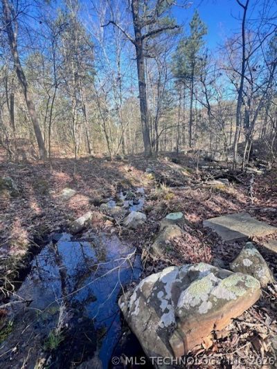 0000 Panola, Panola, OK 74559 Main Photo