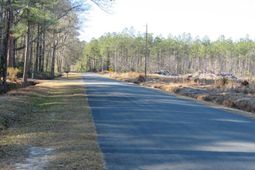 2137 Beulah Road photo 4