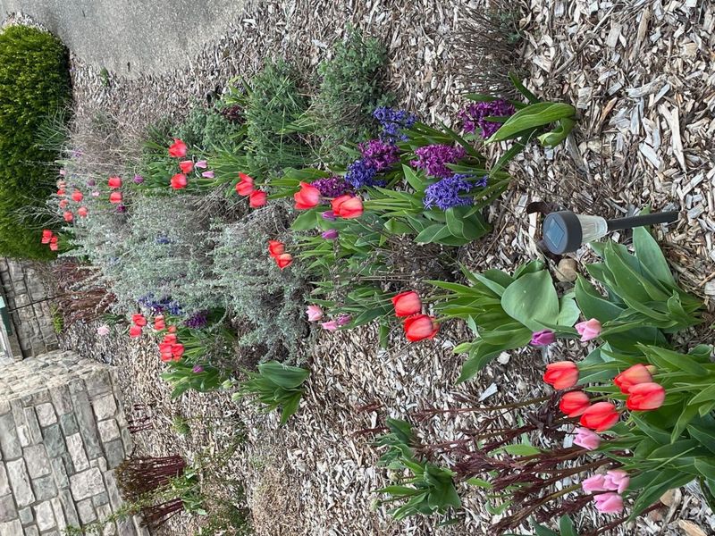 1400 Charolais Drive , Mansfield, OH 44903 Photo 68