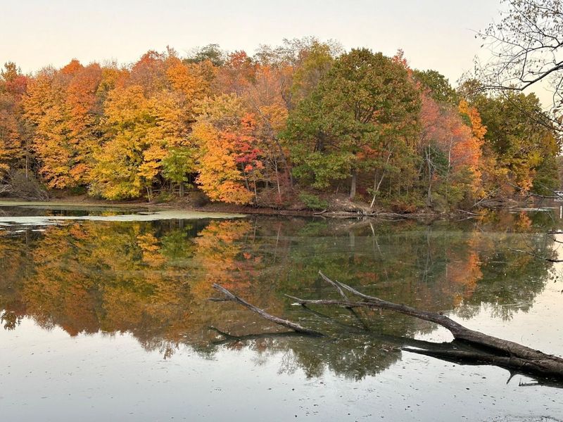 1400 Charolais Drive , Mansfield, OH 44903 Photo 74