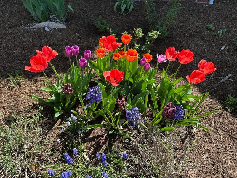 1400 Charolais Drive , Mansfield, OH 44903 Photo 77