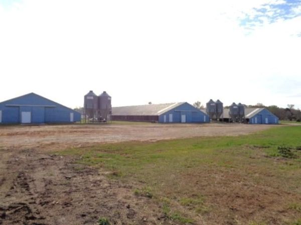 TBD WOODCHUCK , Winnsboro, TX 75494