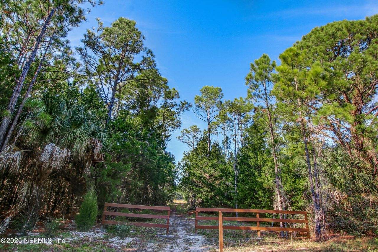 310 Harpers Mill Drive, Ponte Vedra, FL 32081 Photo