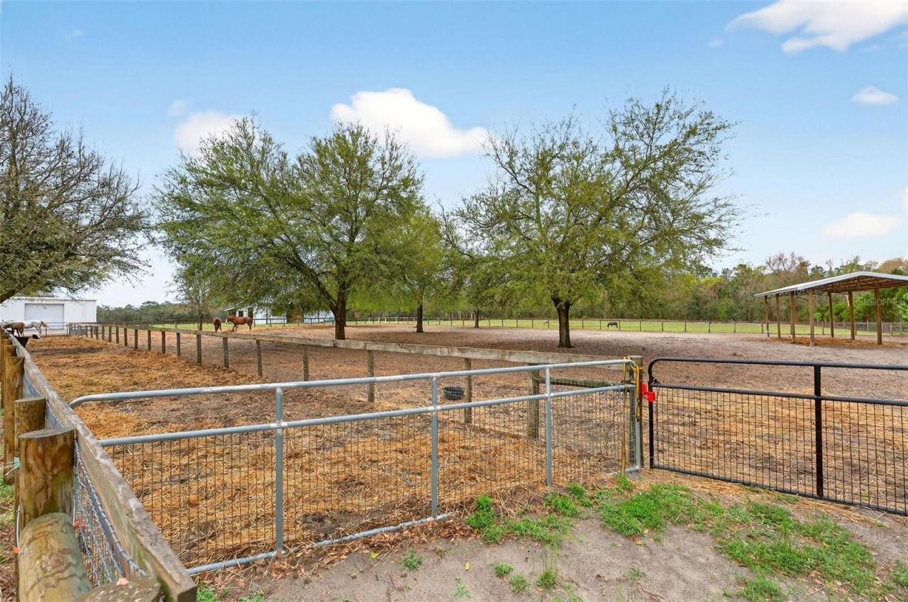 12650 SE 98th Lane, Dunnellon, FL 34431 Photo