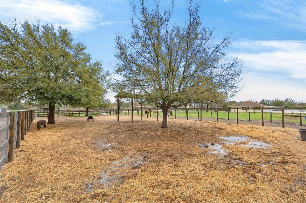 12650 SE 98th Lane, Dunnellon, FL 34431 Photo
