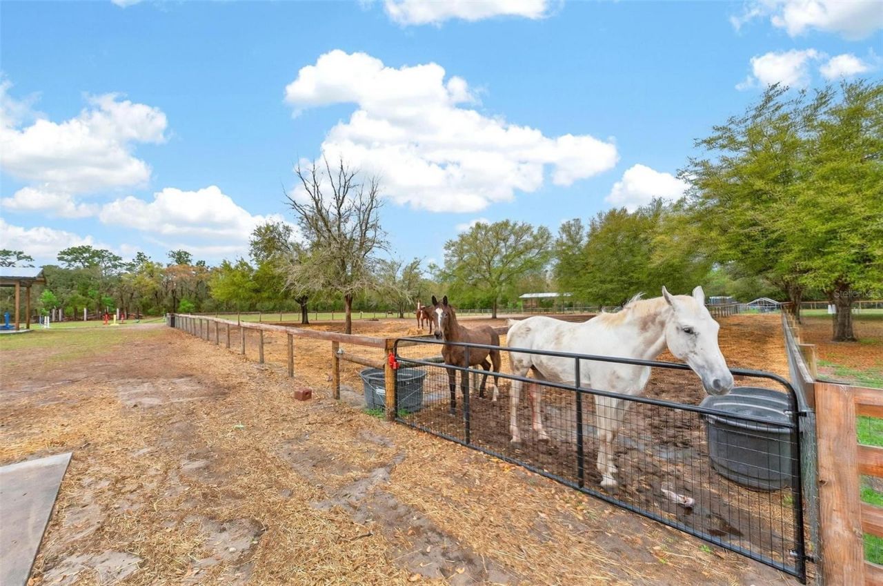 12650 SE 98th Lane, Dunnellon, FL 34431 Photo