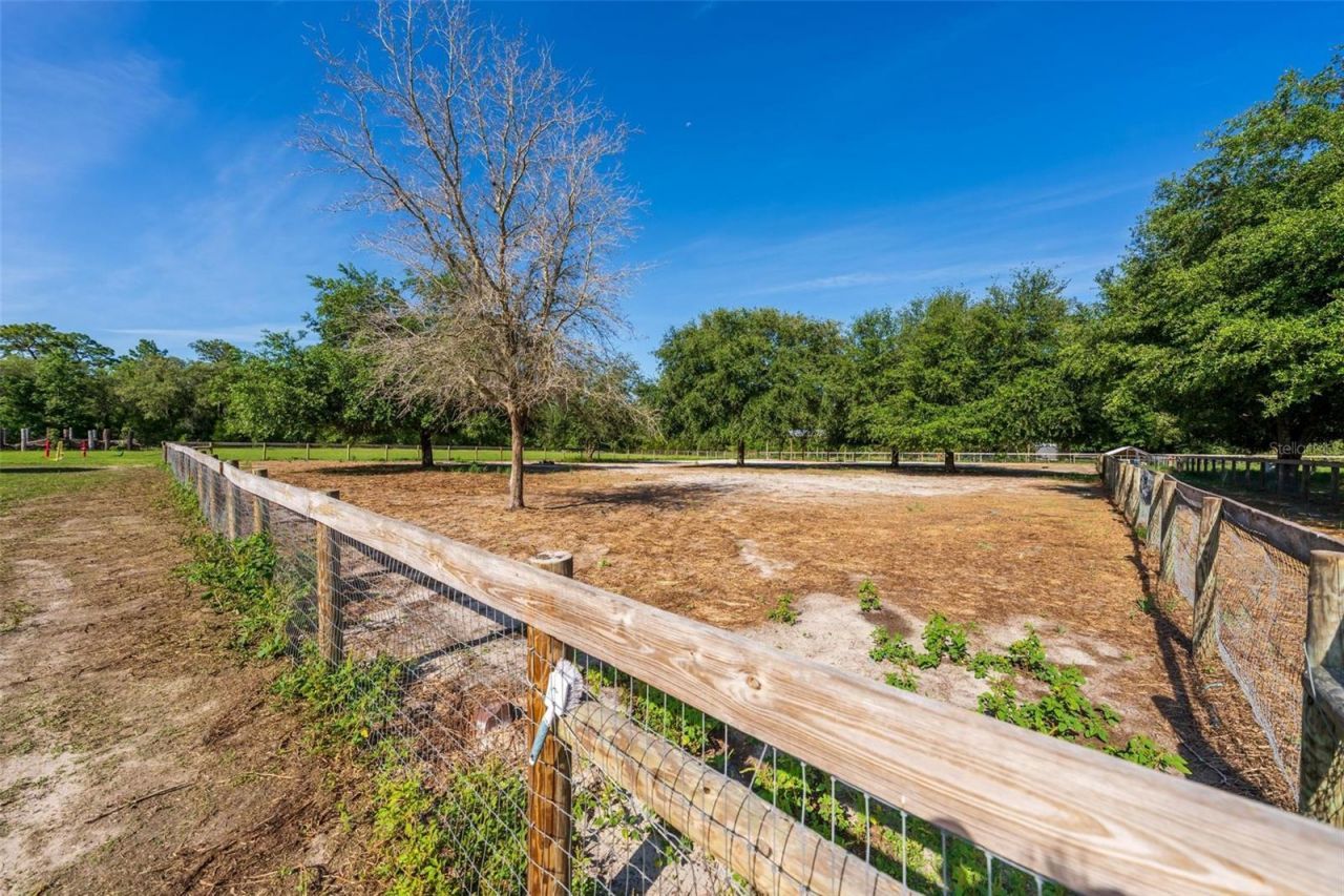 12650 SE 98th Lane, Dunnellon, FL 34431 Photo