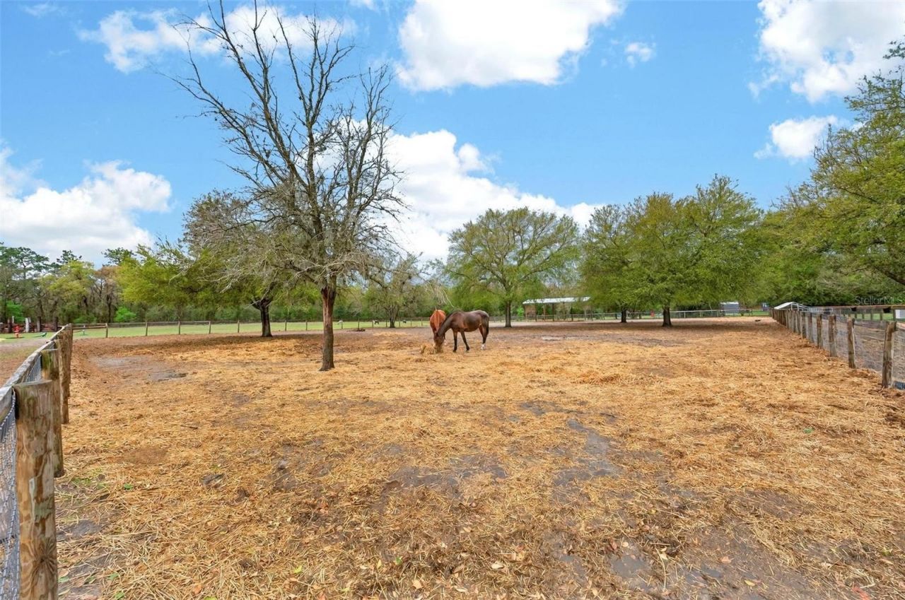 12650 SE 98th Lane , Dunnellon, FL 34431 Photo