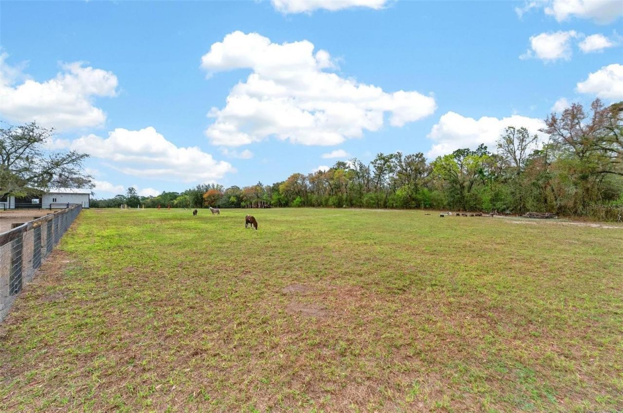 12650 SE 98th Lane, Dunnellon, FL 34431 Photo