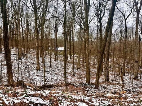 15569 King Road , Howard, OH 43028