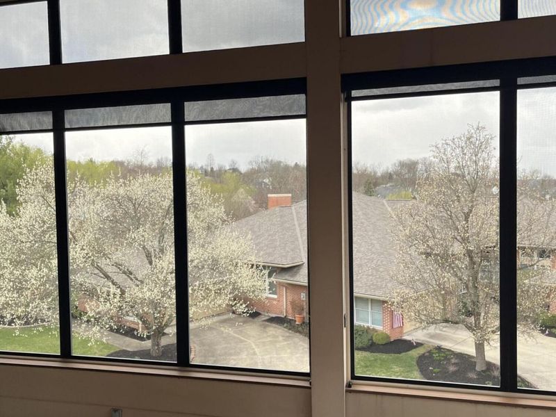 1009 Appleblossom Drive, Villa Hills, KY 41017 Photo 11