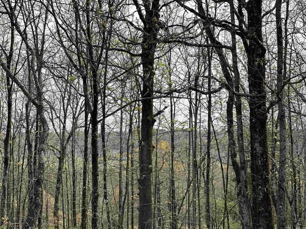 Lot 2 Kenzie Rd/Rocky Branch Estates, Beebe, AR 72012