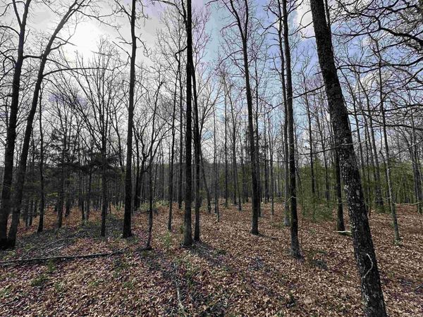 Lot 5 Kenzie Cv/Rocky Branch Estates, Beebe, AR 72012