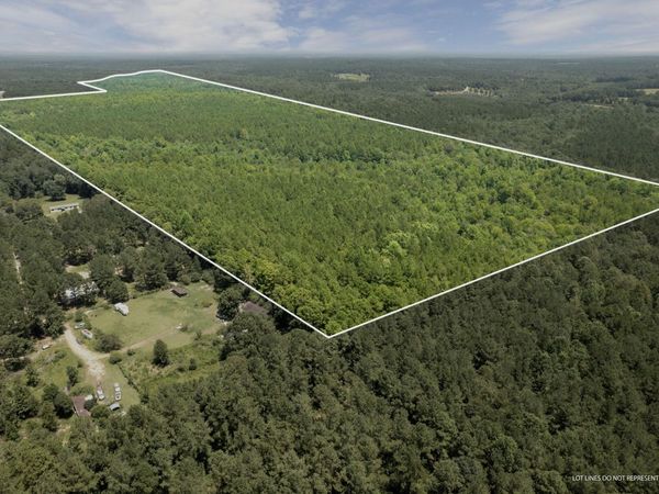 293 acres Scruggs Rd., Sumrall, MS 39482