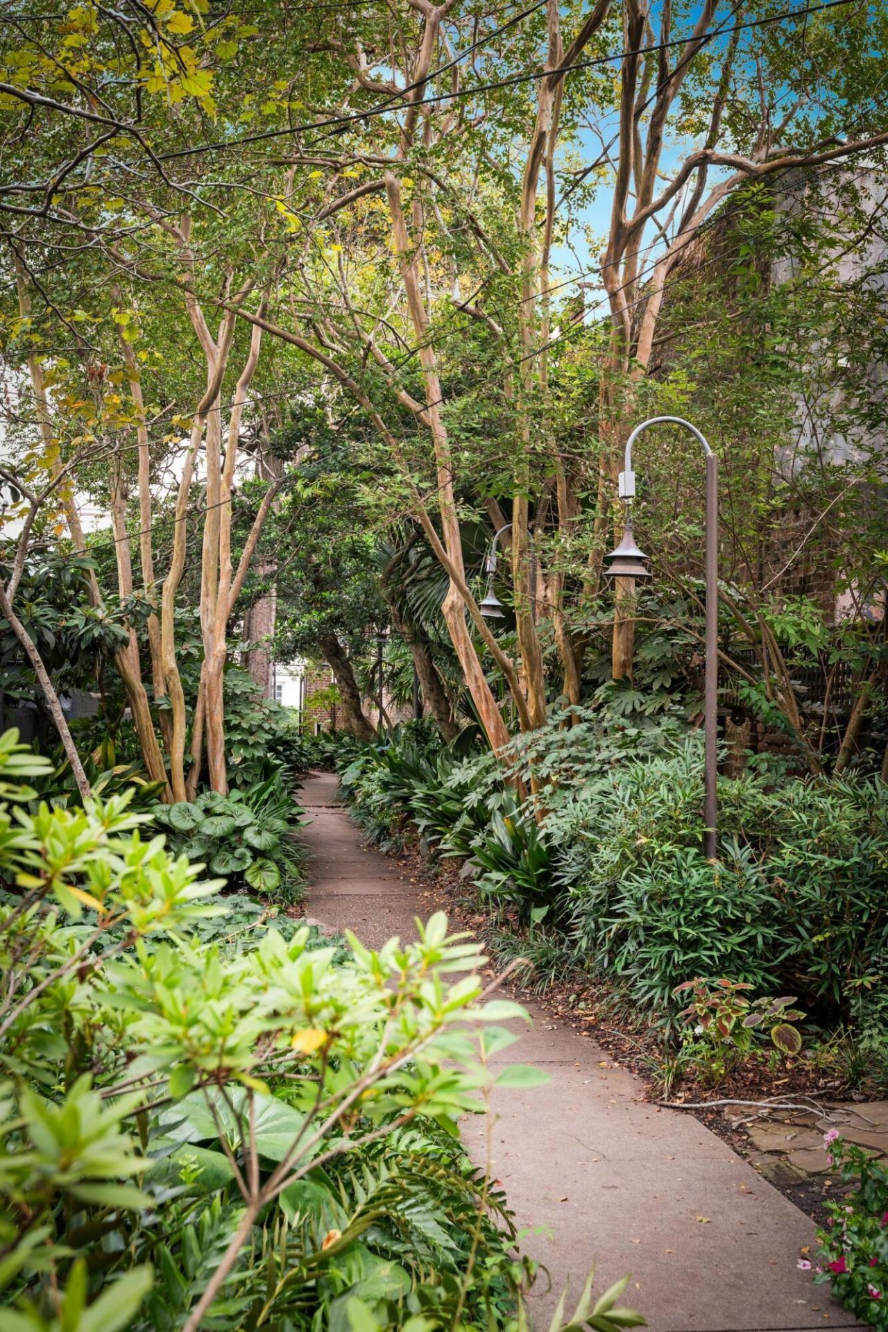 4 Gateway Walk Photo 83