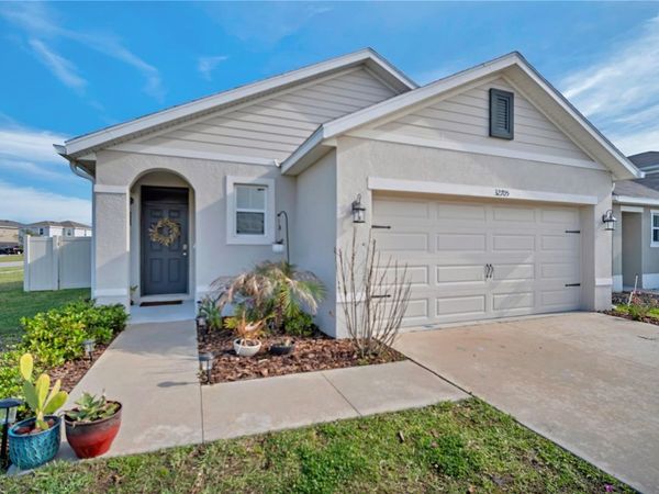 32705 BROOKS HAWK LANE , WESLEY CHAPEL, FL 33543