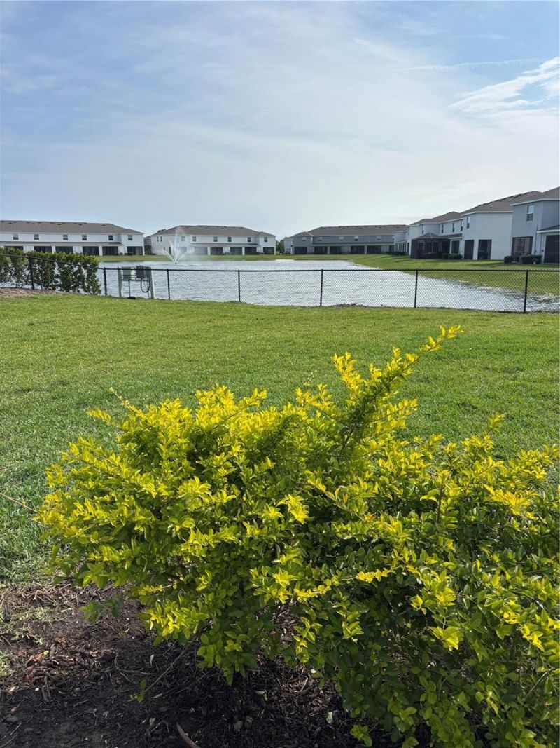 17522 Crescent Moon Loop, Bradenton, FL 34211 Photo