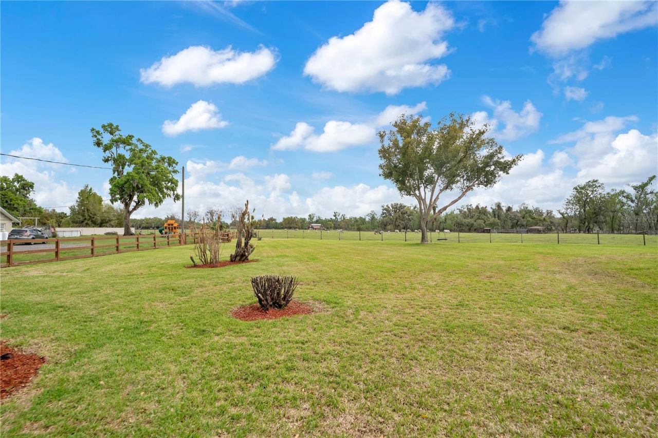 1401 Buell Court, Plant City, FL 33567 Photo