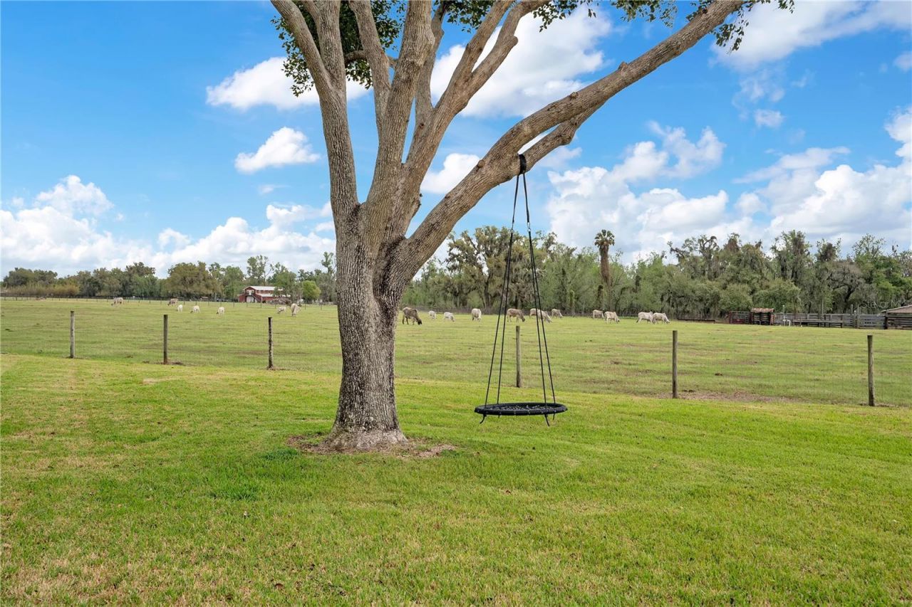 1401 Buell Court, Plant City, FL 33567 Photo