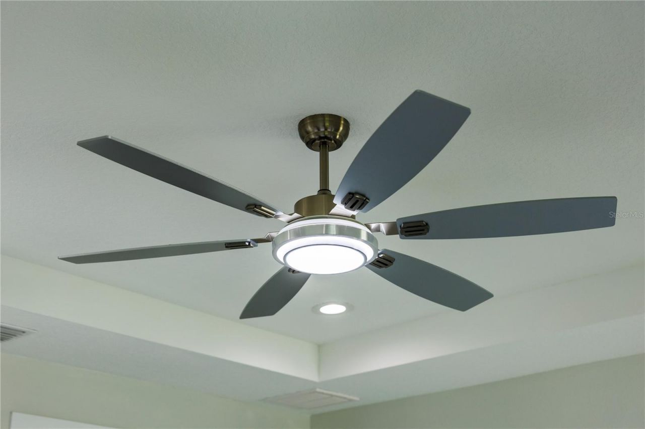 3803 W Palmetto Street, Tampa, FL 33607 Photo