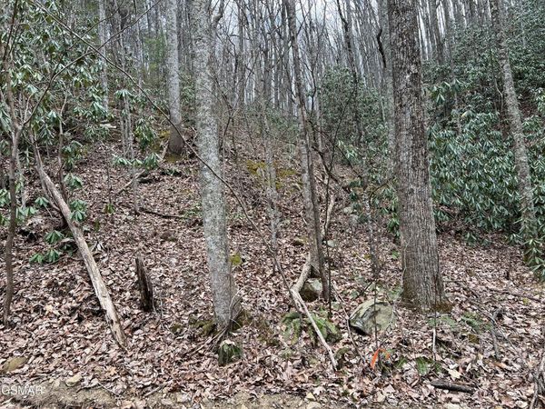 Lot 10 John Sevier Drive, Sevierville, TN 37876