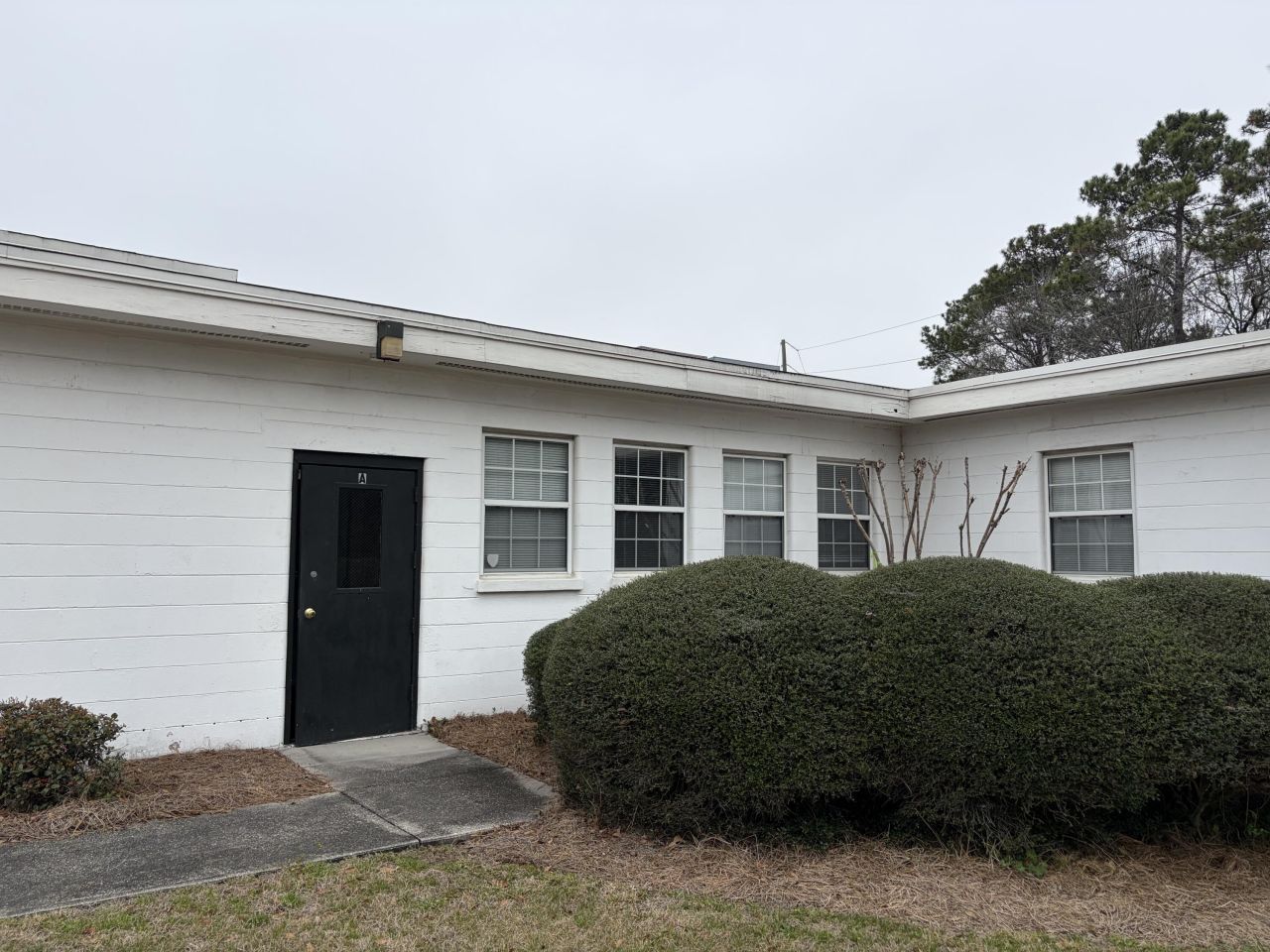 4208 Pace Street Photo 8