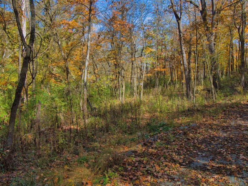 7167 Goshen Road, Goshen Twp, OH 45122 Photo 14