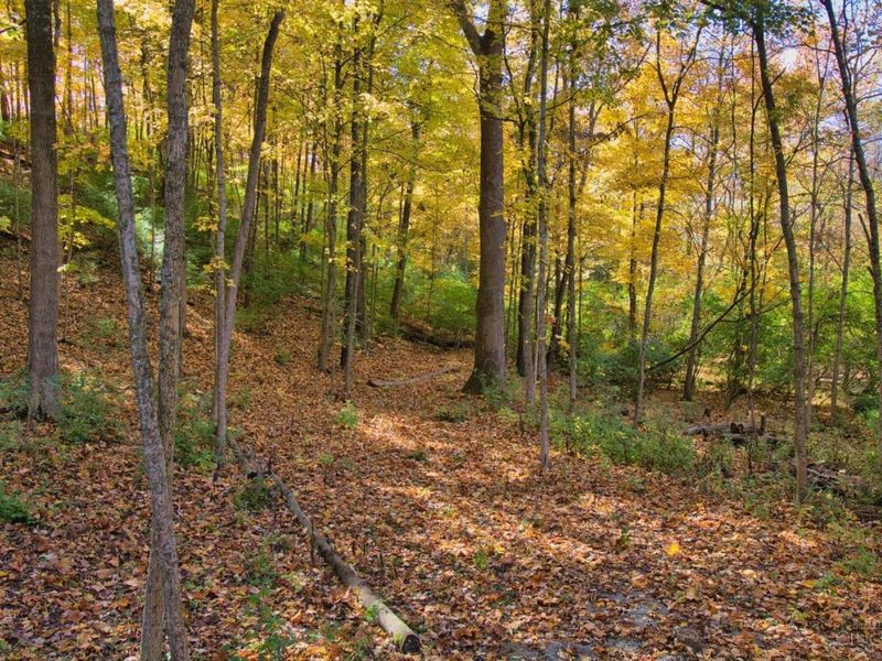 7167 Goshen Road, Goshen Twp, OH 45122 Photo 15