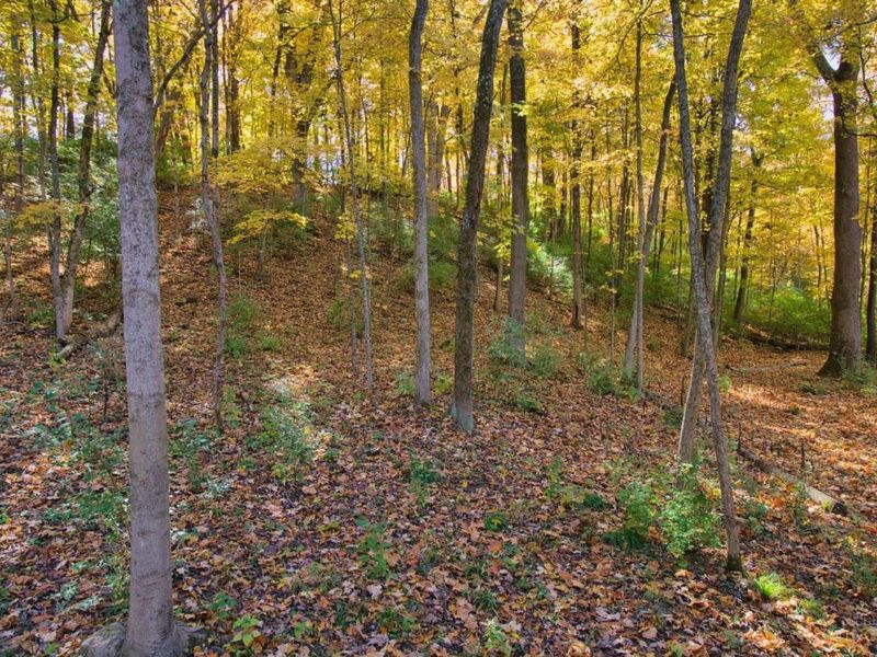 7167 Goshen Road, Goshen Twp, OH 45122 Photo 16