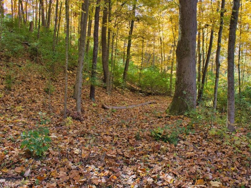 7167 Goshen Road, Goshen Twp, OH 45122 Photo 17