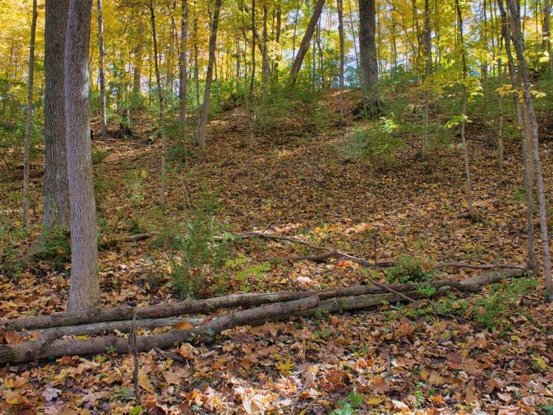 7167 Goshen Road, Goshen Twp, OH 45122 Photo 18