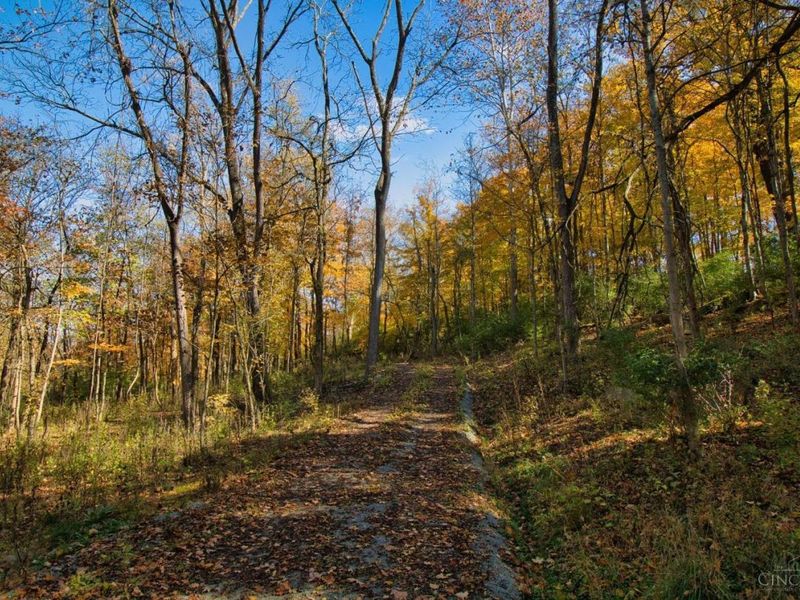 7167 Goshen Road, Goshen Twp, OH 45122 Photo 19