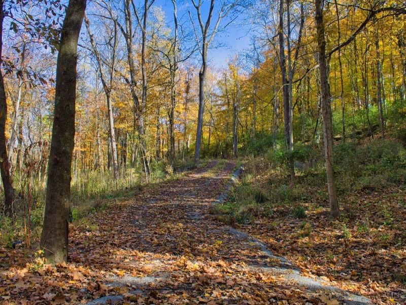 7167 Goshen Road, Goshen Twp, OH 45122 Photo 20