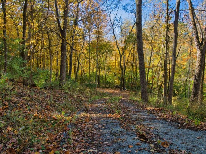 7167 Goshen Road, Goshen Twp, OH 45122 Photo 21