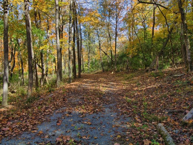 7167 Goshen Road, Goshen Twp, OH 45122 Photo 22