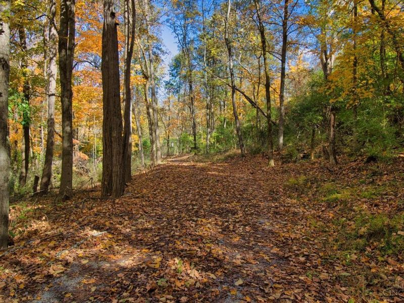 7167 Goshen Road, Goshen Twp, OH 45122 Photo 23